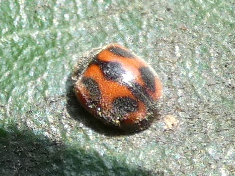 photo_1